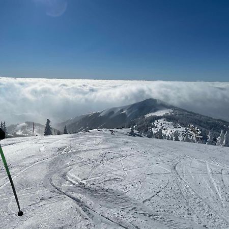 Kopaonik -Beautiful View Apartment- Skiing Luaran gambar