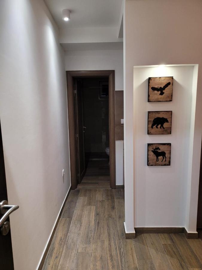 Kopaonik -Beautiful View Apartment- Skiing Luaran gambar