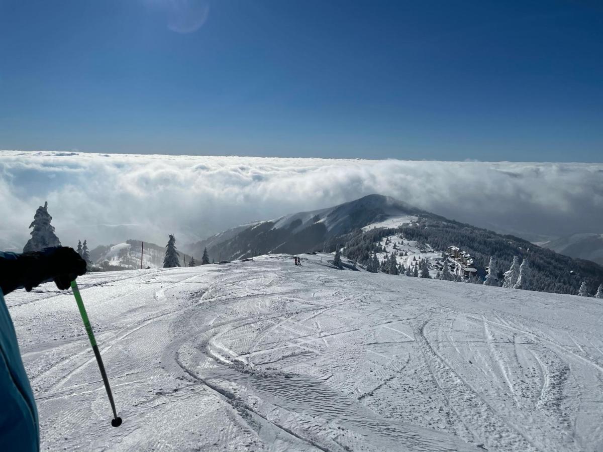 Kopaonik -Beautiful View Apartment- Skiing Luaran gambar