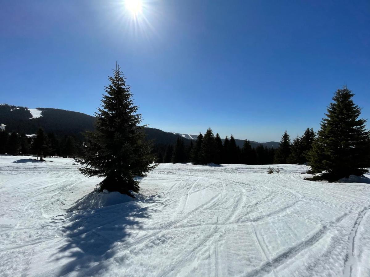 Kopaonik -Beautiful View Apartment- Skiing Luaran gambar