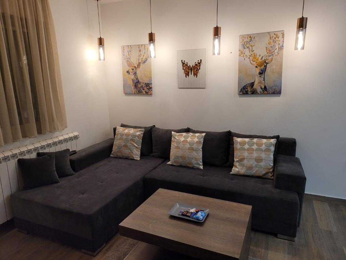 Kopaonik -Beautiful View Apartment- Skiing Luaran gambar